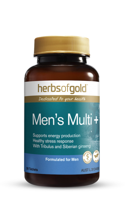 Herbs of Gold Men's Multi 30tab