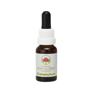 Default alt text