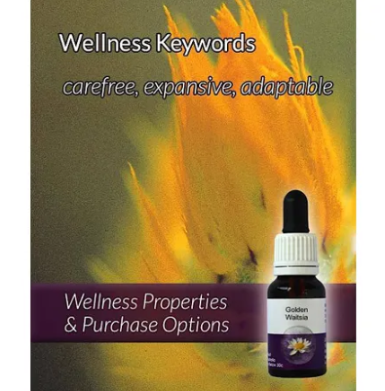 Living Essences Golden Waitsia 15ml – Michael's Chemist