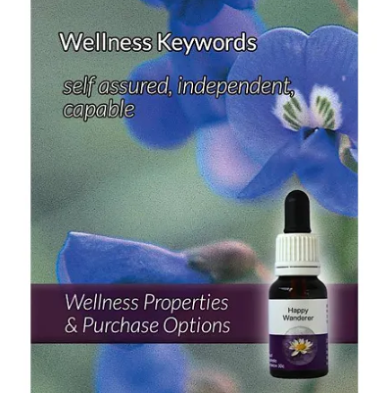 Living Essences Happy Wanderer 100ml – Michael's Chemist