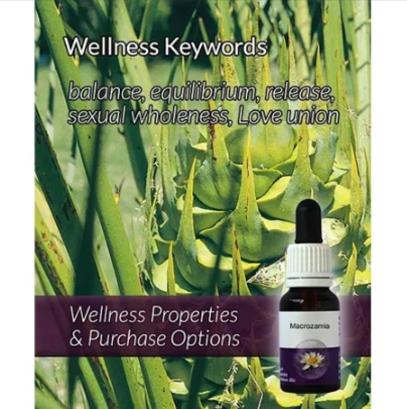 Living Essences Macrozamia 15ml – Michael's Chemist