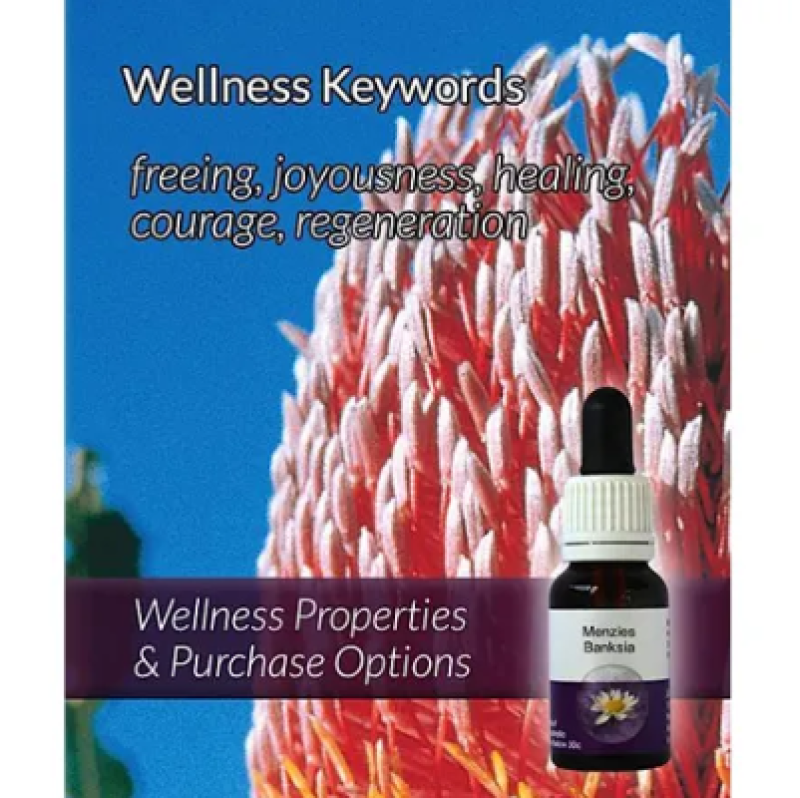 Living Essences Menzies Banksia 100ml – Michael's Chemist