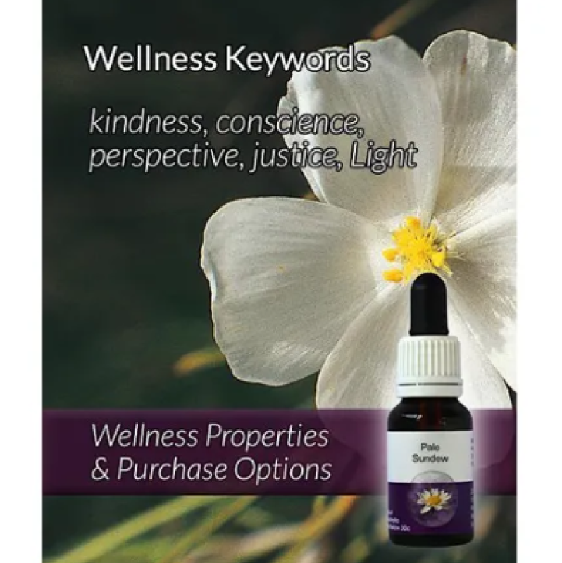 Living Essences Pale Sundew 50ml – Michael's Chemist