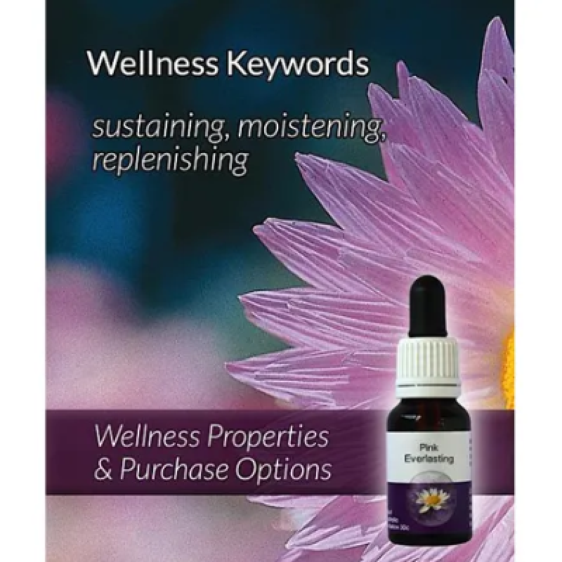 Living Essences Pink Everlasting 50ml – Michael's Chemist