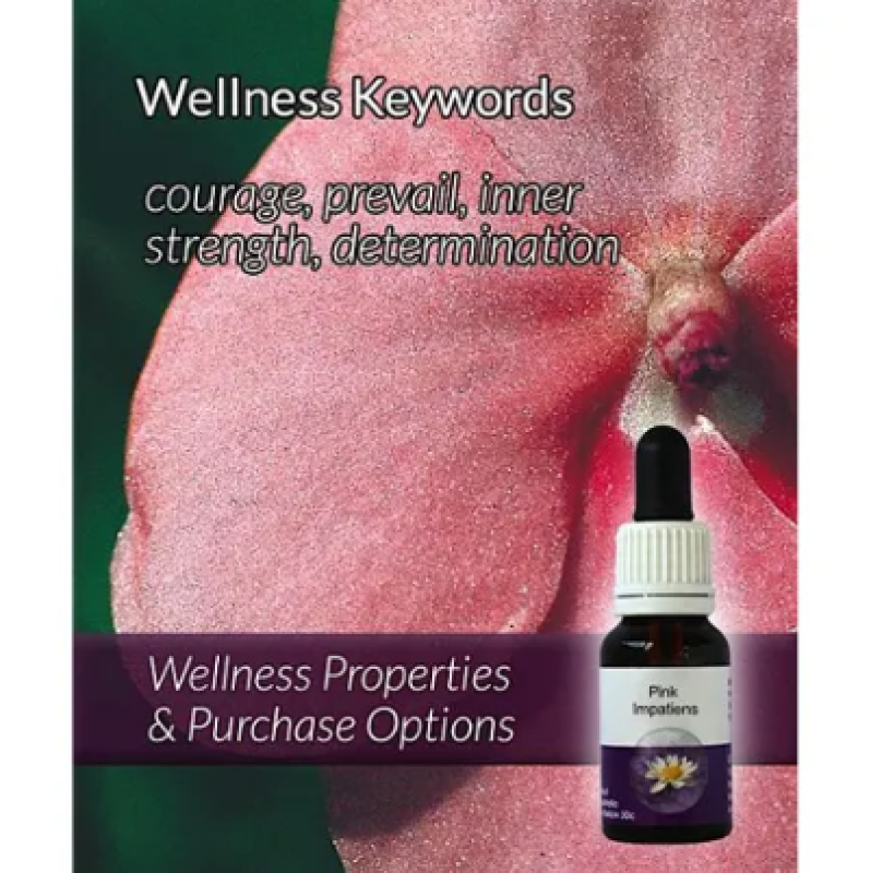 Living Essences Pink Impatiens 50ml – Michael's Chemist