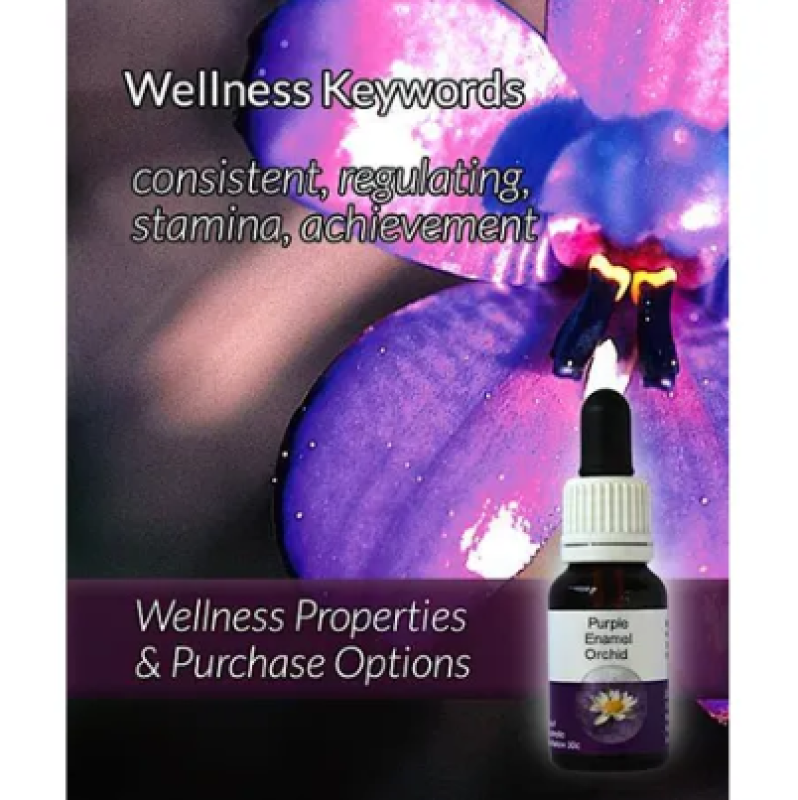 Living Essences Purple Enamel 15ml – Michael's Chemist