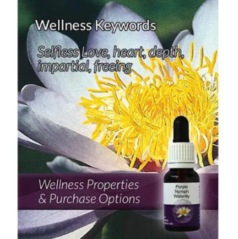 Living Essences Purple Nymph 15ml – Michael's Chemist