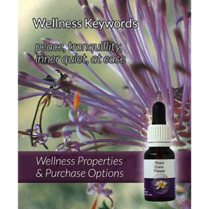 Living Essences Rose Coneflower 15ml – Michael's Chemist