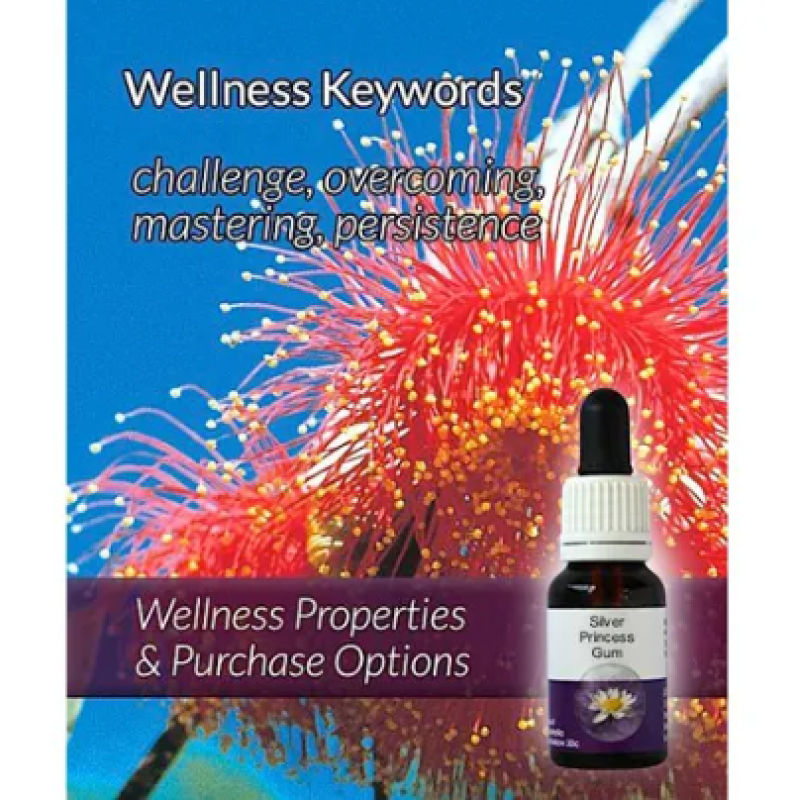 Living Essences Silver Princess 50ml – Michael's Chemist