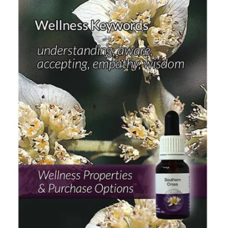 Living Essences Southern Cross 50ml – Michael's Chemist