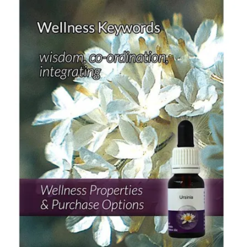 Living Essences Ursinia 500ml – Michael's Chemist