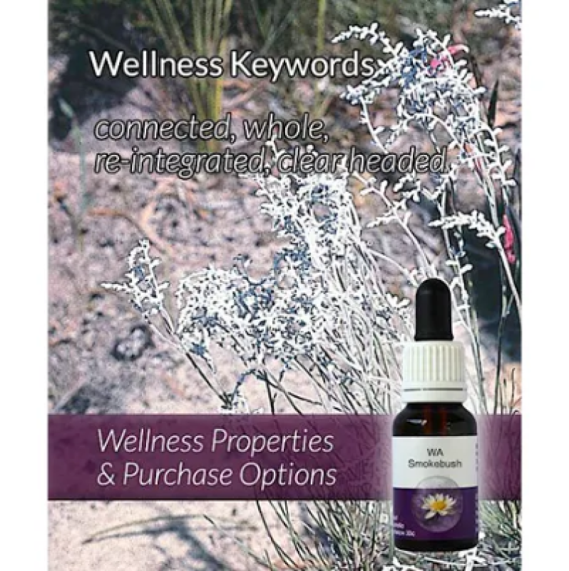 Living Essences WA Smokebush 15ml – Michael's Chemist