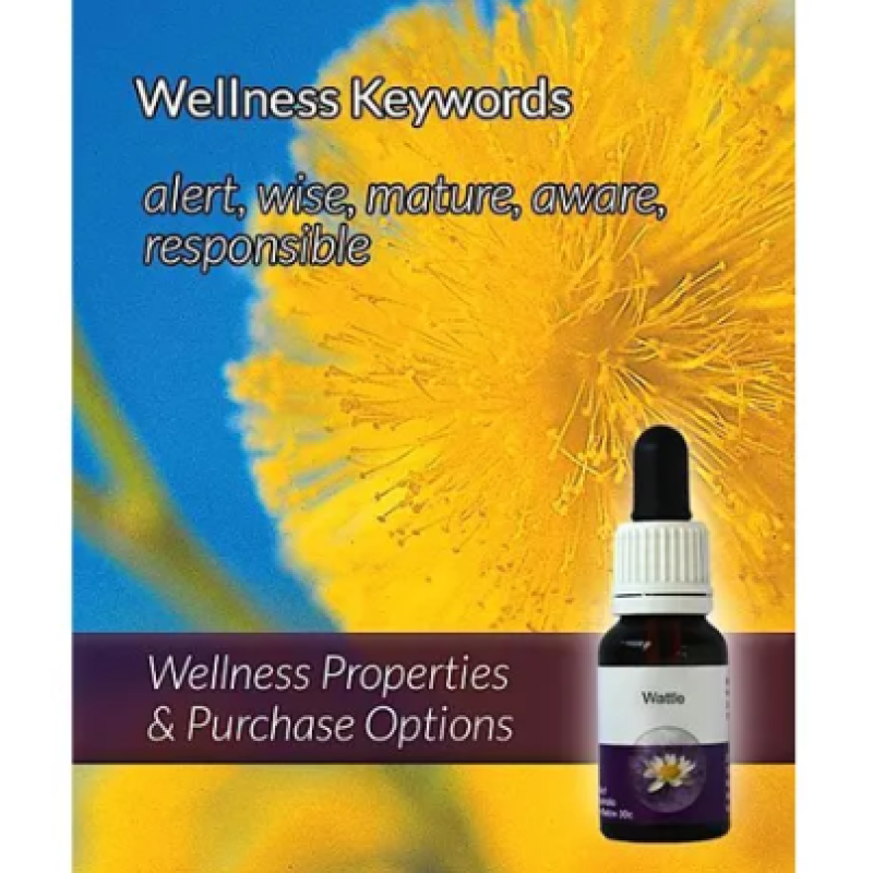 Living Essences Wattle 50ml – Michael's Chemist