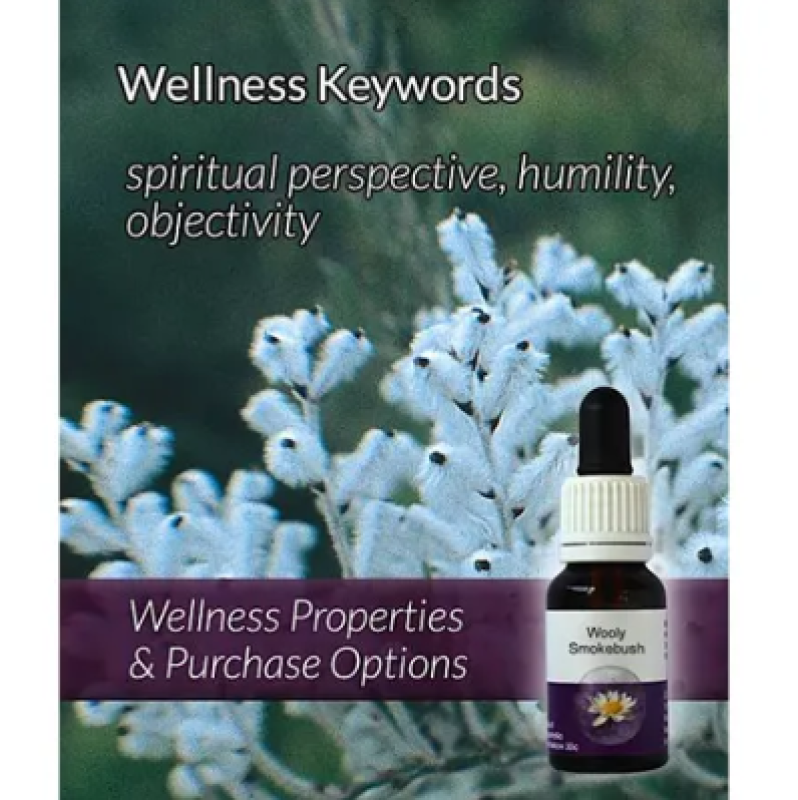 Living Essences Wooly Smokebush 50ml – Michael's Chemist