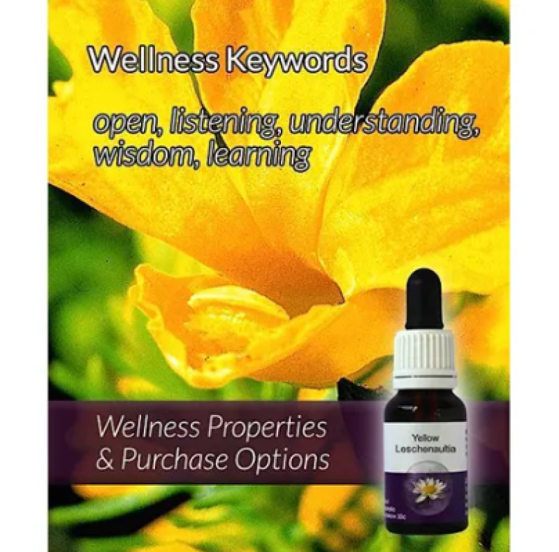 Living Essences Yellow Leschenaultia 15ml – Michael's Chemist