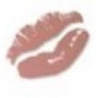 Natio Lip Colour Flutter 4g